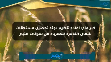 خبر هام: إعادة تنظيم لجنة تحصيل مستحقات شمال القاهرة للكهرباء من سرقات التيار